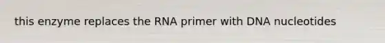this enzyme replaces the RNA primer with DNA nucleotides
