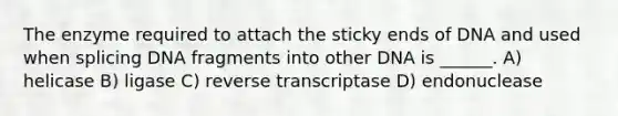 The enzyme required to attach the sticky ends of DNA and used when splicing DNA fragments into other DNA is ______. A) helicase B) ligase C) reverse transcriptase D) endonuclease