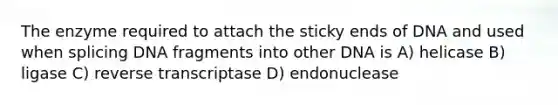 The enzyme required to attach the sticky ends of DNA and used when splicing DNA fragments into other DNA is A) helicase B) ligase C) reverse transcriptase D) endonuclease