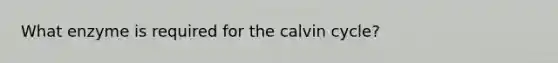 What enzyme is required for the calvin cycle?