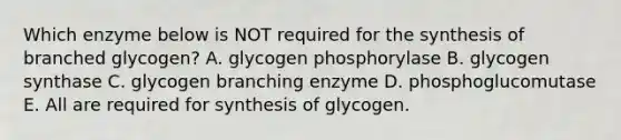 Which enzyme below is NOT required for the synthesis of branched glycogen? A. glycogen phosphorylase B. glycogen synthase C. glycogen branching enzyme D. phosphoglucomutase E. All are required for synthesis of glycogen.