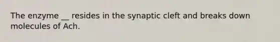 The enzyme __ resides in the synaptic cleft and breaks down molecules of Ach.