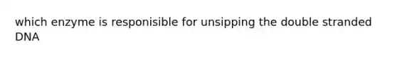 which enzyme is responisible for unsipping the double stranded DNA