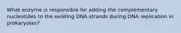 What enzyme is responsible for adding the complementary nucleotides to the existing DNA strands during DNA replication in prokaryotes?