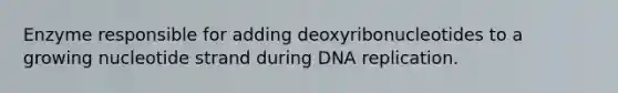 Enzyme responsible for adding deoxyribonucleotides to a growing nucleotide strand during DNA replication.