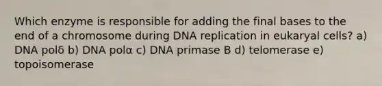 Which enzyme is responsible for adding the final bases to the end of a chromosome during <a href='https://www.questionai.com/knowledge/kofV2VQU2J-dna-replication' class='anchor-knowledge'>dna replication</a> in eukaryal cells? a) DNA polδ b) DNA polα c) DNA primase B d) telomerase e) topoisomerase