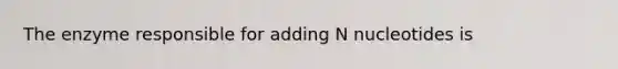 The enzyme responsible for adding N nucleotides is