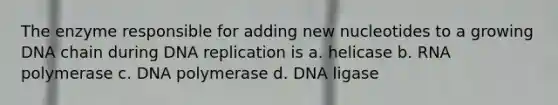 The enzyme responsible for adding new nucleotides to a growing DNA chain during <a href='https://www.questionai.com/knowledge/kofV2VQU2J-dna-replication' class='anchor-knowledge'>dna replication</a> is a. helicase b. RNA polymerase c. DNA polymerase d. DNA ligase