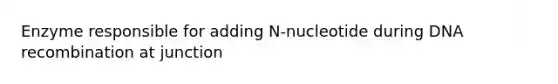 Enzyme responsible for adding N-nucleotide during DNA recombination at junction