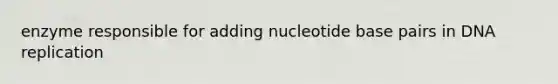 enzyme responsible for adding nucleotide base pairs in DNA replication