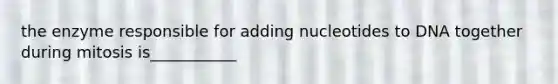 the enzyme responsible for adding nucleotides to DNA together during mitosis is___________