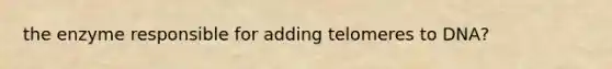the enzyme responsible for adding telomeres to DNA?