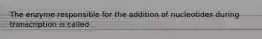 The enzyme responsible for the addition of nucleotides during transcription is called