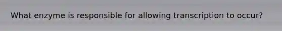 What enzyme is responsible for allowing transcription to occur?