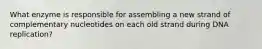 What enzyme is responsible for assembling a new strand of complementary nucleotides on each old strand during DNA replication?