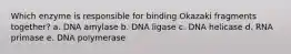 Which enzyme is responsible for binding Okazaki fragments together? a. DNA amylase b. DNA ligase c. DNA helicase d. RNA primase e. DNA polymerase