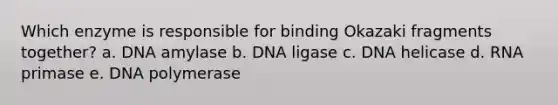 Which enzyme is responsible for binding Okazaki fragments together? a. DNA amylase b. DNA ligase c. DNA helicase d. RNA primase e. DNA polymerase