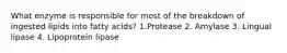 What enzyme is responsible for most of the breakdown of ingested lipids into fatty acids? 1.Protease 2. Amylase 3. Lingual lipase 4. Lipoprotein lipase