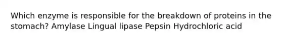 Which enzyme is responsible for the breakdown of proteins in the stomach? Amylase Lingual lipase Pepsin Hydrochloric acid