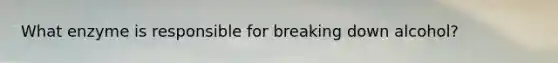 What enzyme is responsible for breaking down alcohol?