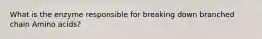 What is the enzyme responsible for breaking down branched chain Amino acids?