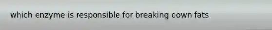 which enzyme is responsible for breaking down fats