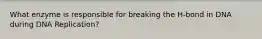 What enzyme is responsible for breaking the H-bond in DNA during DNA Replication?