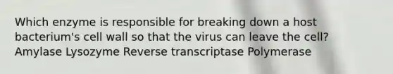 Which enzyme is responsible for breaking down a host bacterium's cell wall so that the virus can leave the cell? Amylase Lysozyme Reverse transcriptase Polymerase