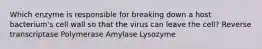 Which enzyme is responsible for breaking down a host bacterium's cell wall so that the virus can leave the cell? Reverse transcriptase Polymerase Amylase Lysozyme