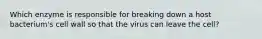 Which enzyme is responsible for breaking down a host bacterium's cell wall so that the virus can leave the cell?