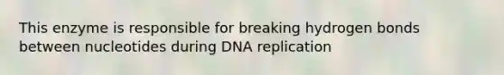 This enzyme is responsible for breaking hydrogen bonds between nucleotides during DNA replication