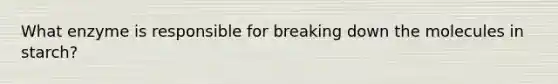 What enzyme is responsible for breaking down the molecules in starch?