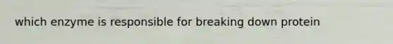 which enzyme is responsible for breaking down protein