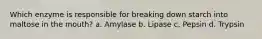Which enzyme is responsible for breaking down starch into maltose in the mouth? a. Amylase b. Lipase c. Pepsin d. Trypsin
