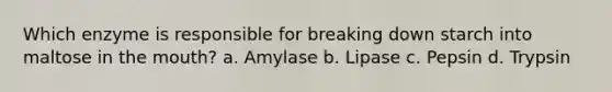 Which enzyme is responsible for breaking down starch into maltose in the mouth? a. Amylase b. Lipase c. Pepsin d. Trypsin