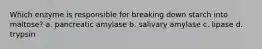 Which enzyme is responsible for breaking down starch into maltose? a. pancreatic amylase b. salivary amylase c. lipase d. trypsin