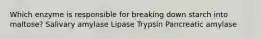 Which enzyme is responsible for breaking down starch into maltose? Salivary amylase Lipase Trypsin Pancreatic amylase