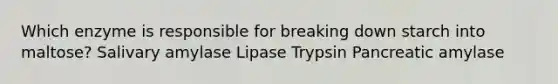 Which enzyme is responsible for breaking down starch into maltose? Salivary amylase Lipase Trypsin Pancreatic amylase