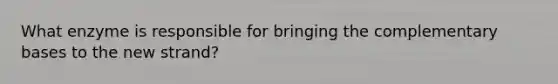 What enzyme is responsible for bringing the complementary bases to the new strand?