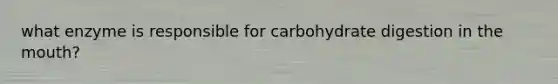 what enzyme is responsible for carbohydrate digestion in the mouth?