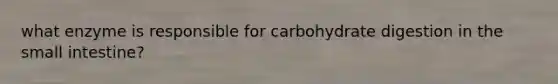 what enzyme is responsible for carbohydrate digestion in the small intestine?