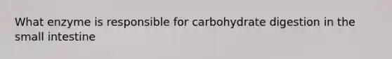 What enzyme is responsible for carbohydrate digestion in the small intestine