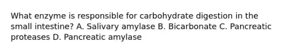 What enzyme is responsible for carbohydrate digestion in the small intestine? A. Salivary amylase B. Bicarbonate C. Pancreatic proteases D. Pancreatic amylase