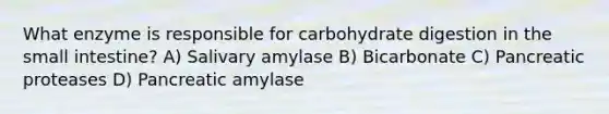 What enzyme is responsible for carbohydrate digestion in the small intestine? A) Salivary amylase B) Bicarbonate C) Pancreatic proteases D) Pancreatic amylase