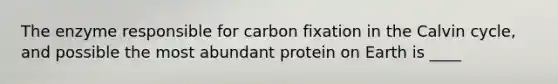 The enzyme responsible for carbon fixation in the Calvin cycle, and possible the most abundant protein on Earth is ____