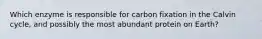 Which enzyme is responsible for carbon fixation in the Calvin cycle, and possibly the most abundant protein on Earth?