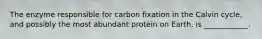 The enzyme responsible for carbon fixation in the Calvin cycle, and possibly the most abundant protein on Earth, is ____________.
