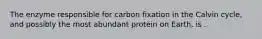 The enzyme responsible for carbon fixation in the Calvin cycle, and possibly the most abundant protein on Earth, is .