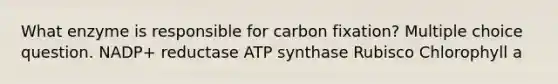 What enzyme is responsible for carbon fixation? Multiple choice question. NADP+ reductase ATP synthase Rubisco Chlorophyll a