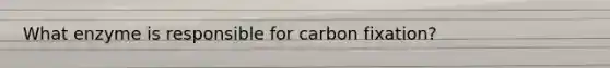 What enzyme is responsible for carbon fixation?